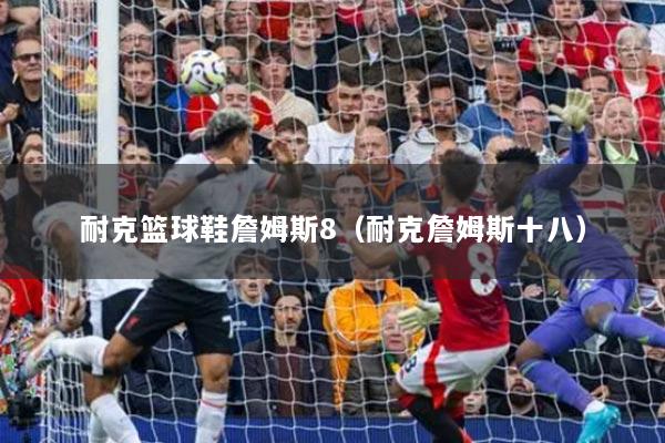 耐克篮球鞋詹姆斯8（耐克詹姆斯十八）