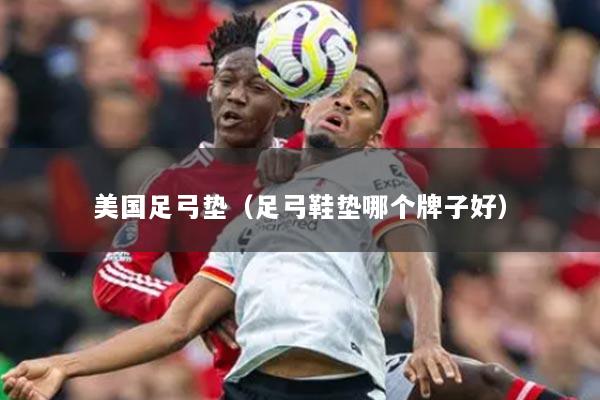 美国足弓垫（足弓鞋垫哪个牌子好）