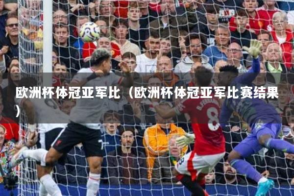 欧洲杯体冠亚军比（欧洲杯体冠亚军比赛结果）