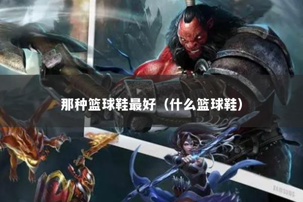 那种篮球鞋最好(什么篮球鞋)