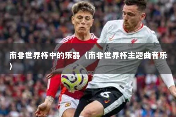 南非世界杯中的乐器(南非世界杯主题曲音乐)