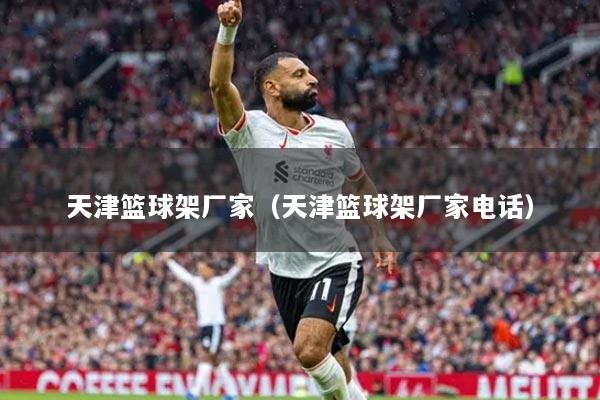 天津篮球架厂家(天津篮球架厂家电话)