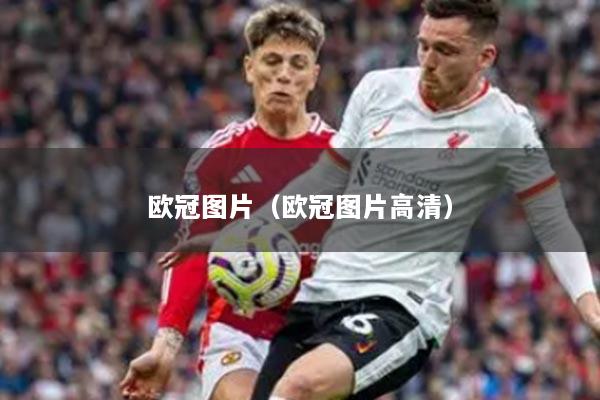 欧冠图片(欧冠图片高清)