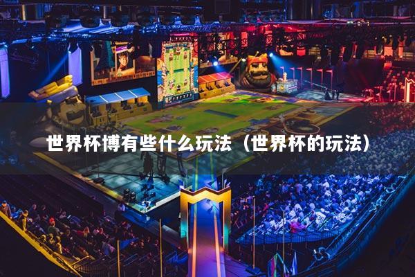 世界杯博有些什么玩法(世界杯的玩法)