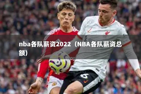 nba各队薪资2022(NBA各队薪资总额)