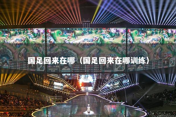 国足回来在哪(国足回来在哪训练)