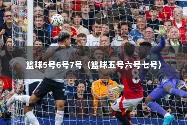 篮球5号6号7号(篮球五号六号七号)