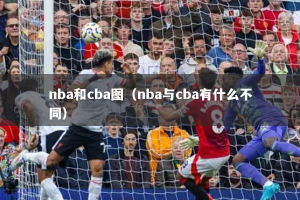 nba和cba图(nba与cba有什么不同)