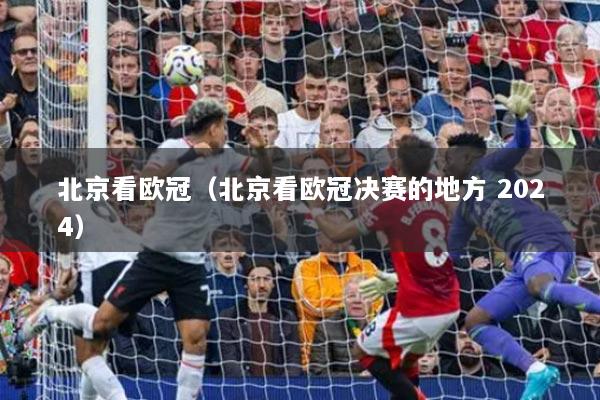北京看欧冠(北京看欧冠决赛的地方 2024)