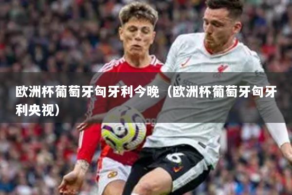 欧洲杯葡萄牙匈牙利今晚(欧洲杯葡萄牙匈牙利央视)
