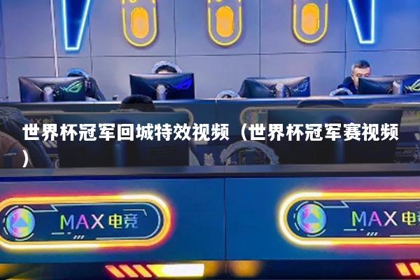 世界杯冠军回城特效视频（世界杯冠军赛视频）