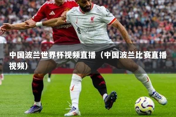 中国波兰世界杯视频直播(中国波兰比赛直播视频)