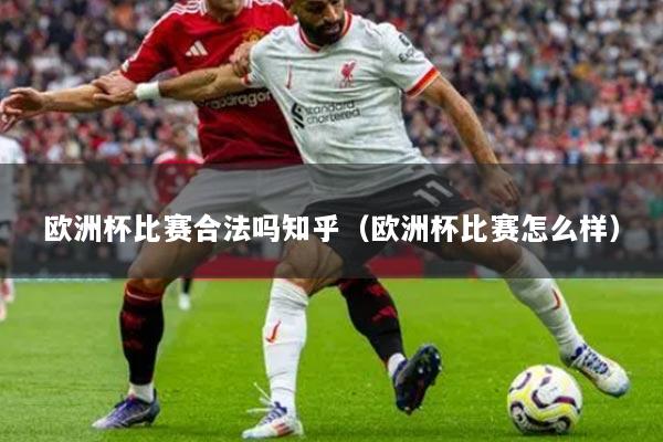 欧洲杯比赛合法吗知乎(欧洲杯比赛怎么样)