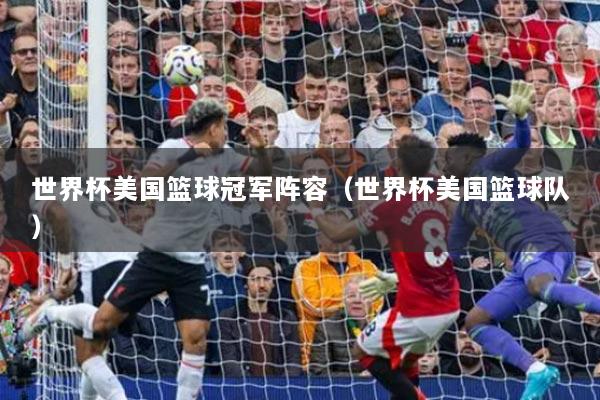 世界杯美国篮球冠军阵容（世界杯美国篮球队）