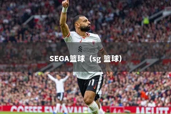 SEGA篮球（sg 篮球）