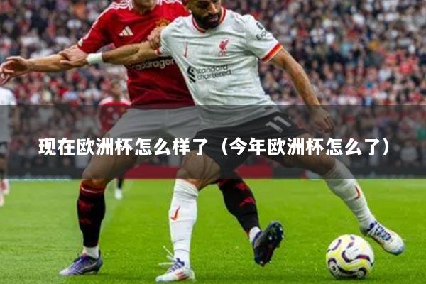 现在欧洲杯怎么样了（今年欧洲杯怎么了）