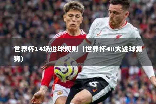世界杯14场进球规则（世界杯40大进球集锦）