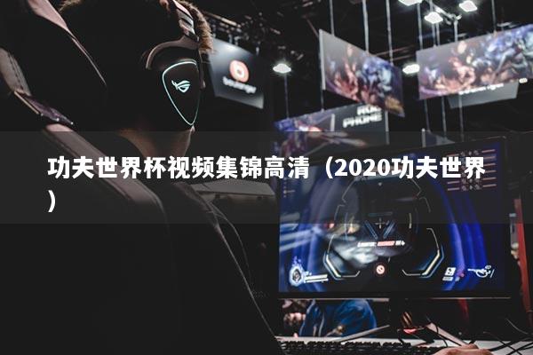 功夫世界杯视频集锦高清（2020功夫世界）