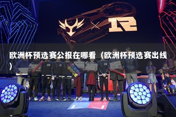 欧洲杯预选赛公报在哪看(欧洲杯预选赛出线)